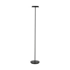 Cordless & Rechargeble Floor Lamps